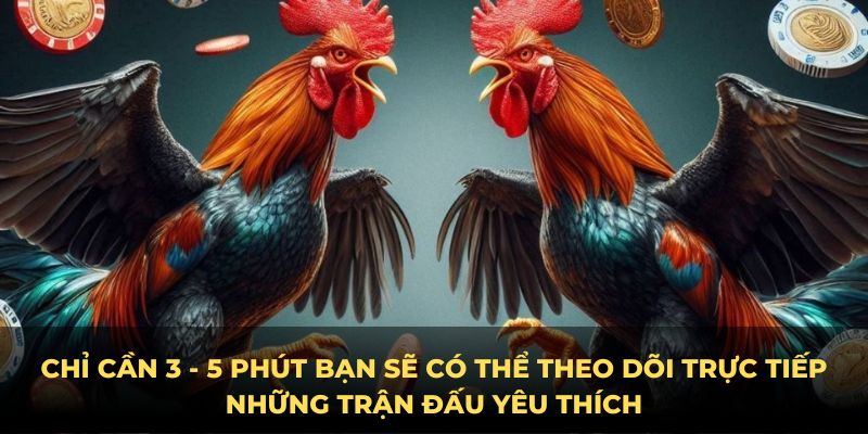 Chỉ cần 3 - 5 phút bạn sẽ có thể theo dõi trực tiếp những trận đấu yêu thích