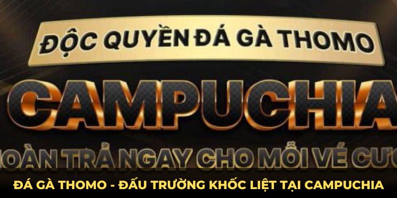 Đá gà Thomo - Đấu trường khốc liệt tại Campuchia